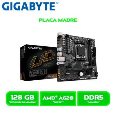 PLACA GIGABYTE A620M H DDR5 AMD SOCKET AM5